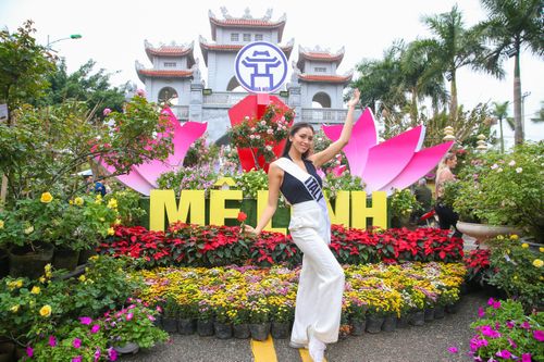 Dàn Hoa hậu Du lịch Thế giới khoe sắc cùng hoa Mê Linh, Hà Nội