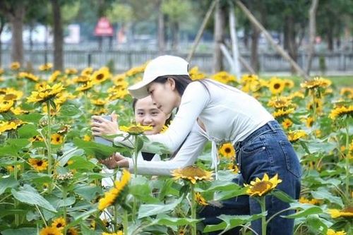 Người dân nườm nượp đổ về Festival hoa lớn nhất Thủ đô