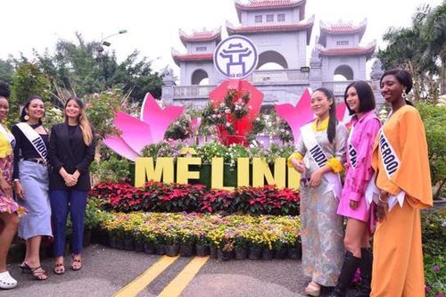 Hoa Mê Linh rực rỡ trong clip của Hoa hậu Du lịch Thế giới 2022