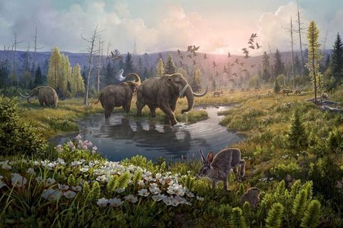 Tìm thấy ADN cổ nhất thế giới, bí mật 'khủng' về Greenland dần hé lộ