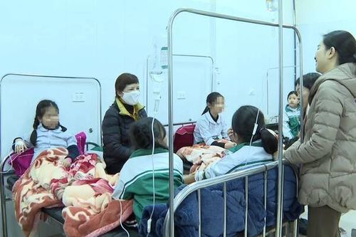 40 học sinh Sơn La ngộ độc thực phẩm khi đi ngoại khóa: Yêu cầu phòng giáo dục báo cáo