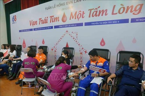 Vạn trái tim chung một tấm lòng