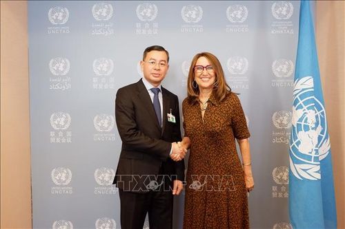 UNCTAD đánh giá cao khuôn khổ chính sách và thiết chế của Việt Nam