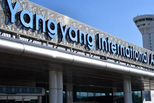 Bốn công ty du lịch bị đề nghị tước giấy phép vì để 100 du khách 'bỗng dưng' mất liên lạc tại Hàn Quốc