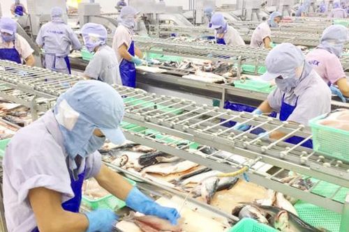Trung Quốc mở cửa sẽ hỗ trợ xuất khẩu thủy sản Việt Nam