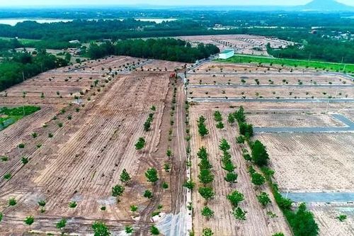 Công ty Alibaba vẽ 58 dự án 'ma' trên đất nông nghiệp như thế nào?