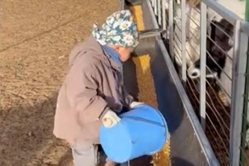Cậu bé 5 tuổi làm nông gây sốt mạng xã hội Trung Quốc