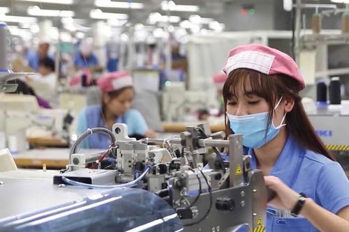 Sức bật cho doanh nghiệp nhỏ và vừa tham gia xuất khẩu từ CPTPP