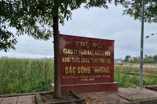 Nhiều vi phạm làm sai lệch kết quả lựa chọn nhà thầu