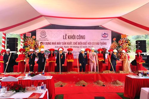 Vinasamex khởi công xây dựng nhà máy quế hữu cơ tại Lào Cai