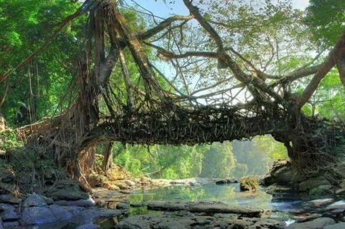 Làng sạch nhất châu Á nằm ở Ấn Độ