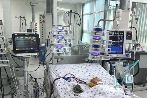 Đặt ECMO cứu bệnh nhi sốc sốt xuất huyết biến chứng suy hô hấp cấp