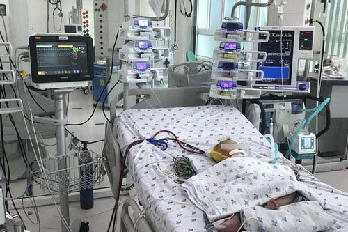 Cứu bệnh nhi bị sốc sốt xuất huyết nặng