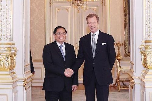 Khuyến khích doanh nghiệp Luxembourg đầu tư vào chuyển đổi số tại Việt Nam