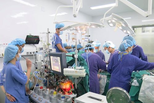Gần 10 người 'hồi sinh' từ mô, tạng của hai người chết não ở Hà Nội, Bắc Ninh