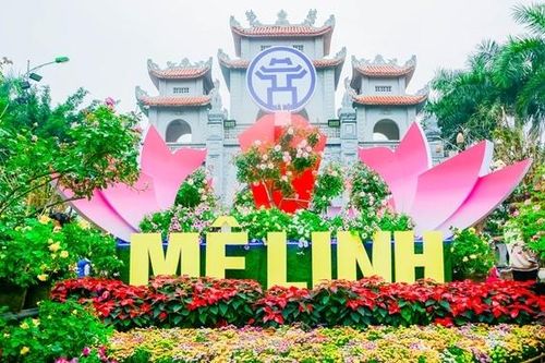 Rực rỡ sắc màu Lễ hội hoa Mê Linh 2022