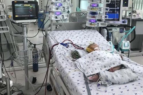 Bé 7 tháng tuổi co giật, suy hô hấp do sốc sốt xuất huyết
