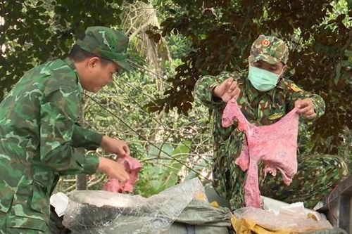 'Xuất ngoại' 2,5 tấn nội tạng động vật bốc mùi hôi thối