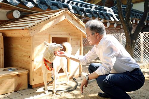 Món quà từ ông Kim Jong Un thành tâm điểm tranh cãi ở Hàn Quốc