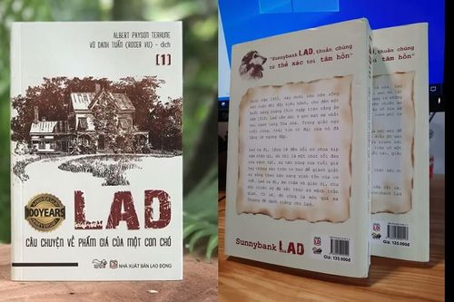 'Lad - câu chuyện về phẩm giá của một con chó'
