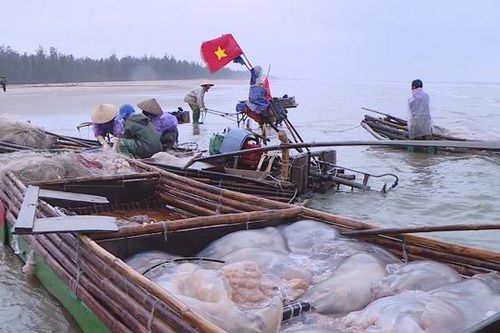 Hà Tĩnh: Nguy cơ bị sóng đánh chìm khi đánh bắt thủy sản mùa biển động
