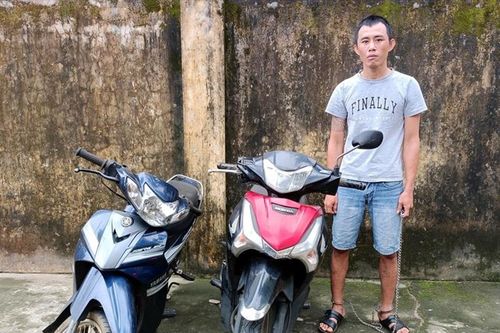 'Đạo chích' nhớ nghề!