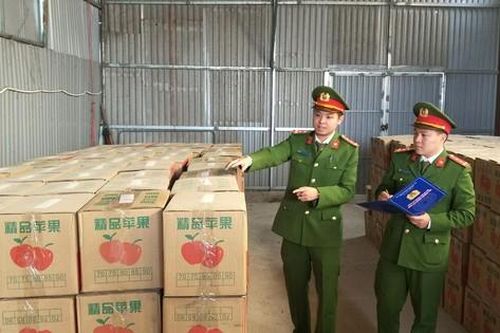 Hà Nội: Bắt giữ gần 7 tấn pháo hoa nổ ngụy trang trong thùng hoa quả