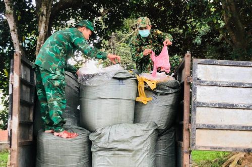 Bắt đối tượng vận chuyển 2,5 tấn nội tạng động vật hôi thối ở biên giới