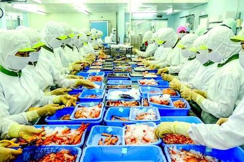 Chắt chiu cơ hội từ các FTA
