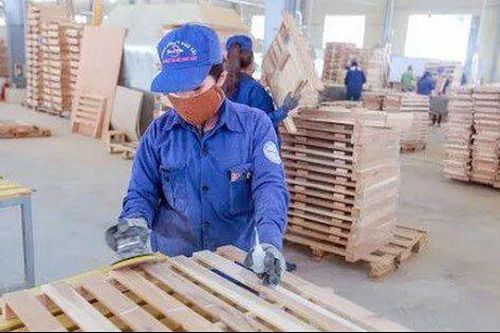 Phú Tài dừng huy động vốn và lên kế hoạch mua lại cổ phiếu quỹ