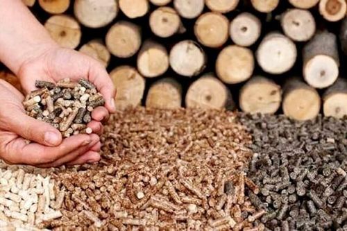 Phát thải khi đốt viên gỗ nén vẫn là mối quan ngại lớn