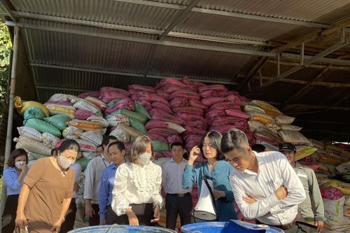 Bài cuối: Triển khai giải pháp mang tính dài hơi, bền vững
