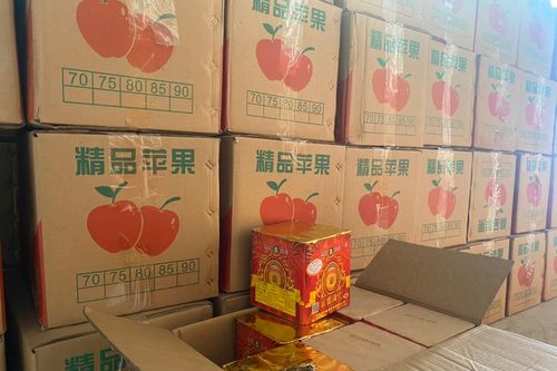 Gần 7 tấn pháo nổ ngụy trang trong thùng hoa quả nhập khẩu