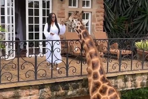 Những điều chỉ có ở Kenya