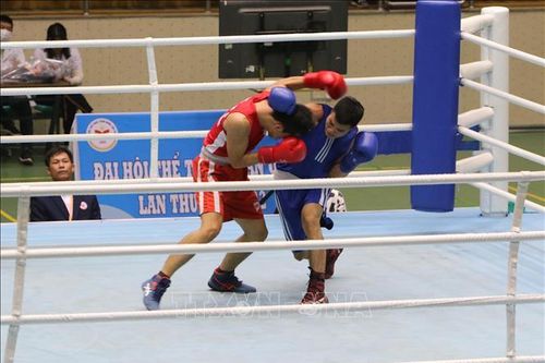 Đại hội Thể thao toàn quốc 2022: Khởi tranh môn Boxing
