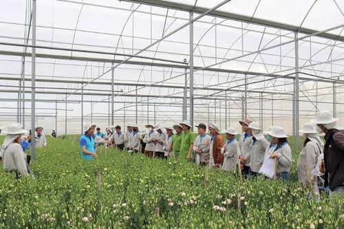 Chuyển đổi toàn diện, Yara Việt Nam cam kết mục tiêu phát triển bền vững nông nghiệp Việt