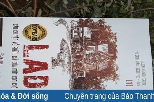Câu chuyện về phẩm giá của một con chó