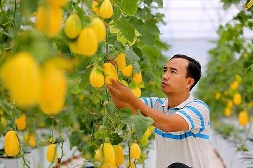 Trao đổi về sửa đổi luật HTX: Vẫn chưa tháo được nút thắt về vốn cho HTX (Bài 5)