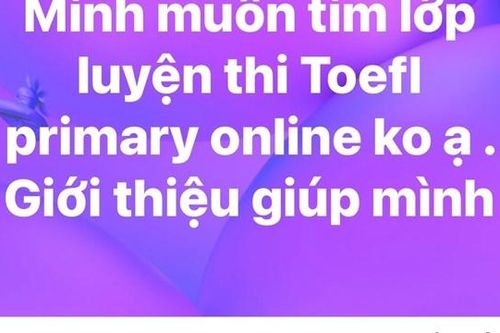 Học sinh tiểu học có cần thiết 'săn' chứng chỉ ngoại ngữ quốc tế?