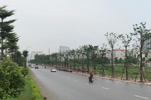 Đẩy nhanh tiến độ dự án đường trục phía nam