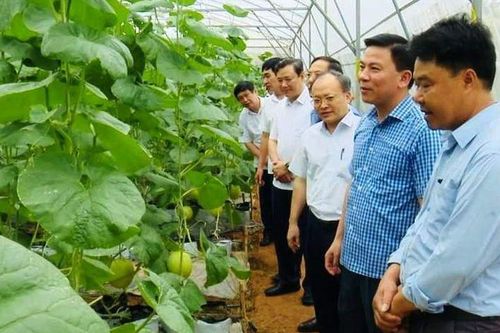 Tích tụ đất để sản xuất hàng hóa quy mô lớn, giá trị cao ở Thanh Hóa
