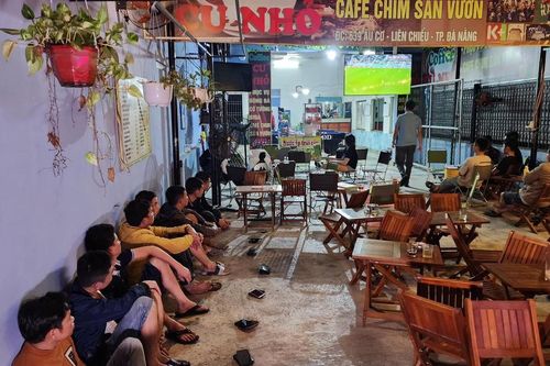 Bắt chủ quán cà phê tổ chức cho khách cá độ bóng đá mùa World cup