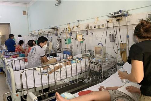 TP Hồ Chí Minh: Bệnh sốt xuất huyết giảm, tay chân miệng có dấu hiệu tăng