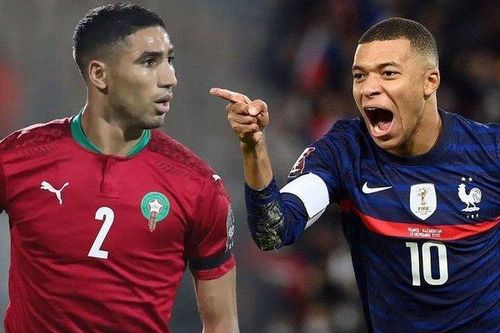 Sư tử 'ngoại cảm' dự đoán bất ngờ về kết quả trận Pháp và Maroc