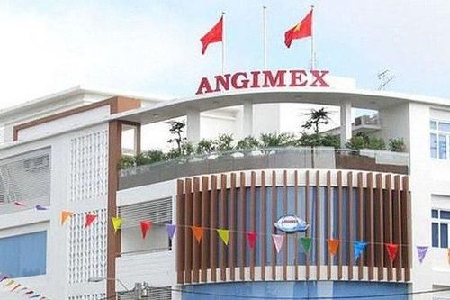 Lý do Angimex bất ngờ hoãn tổ chức ĐHĐCĐ bất thường 2022