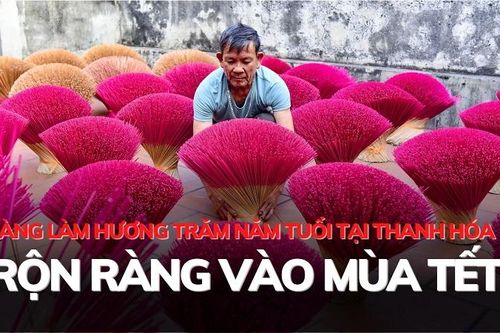 Làng làm hương trăm năm tuổi tại Thanh Hóa rộn ràng vào mùa Tết