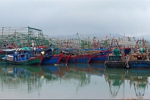 Phú Yên đề xuất hỗ trợ đầu tư hai nơi tránh bão cho tàu cá