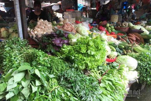 Hà Nội: Giá rau xanh tăng gấp đôi, 'chi phí đắt ngang thịt cá'