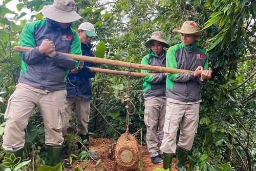 Quảng Trị: Nông dân phát hiện quả bom MK81 nặng 119kg khi làm rẫy