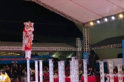 TP Hồ Chí Minh giành HCV nội dung Mai hoa thung, môn Lân sư rồng
